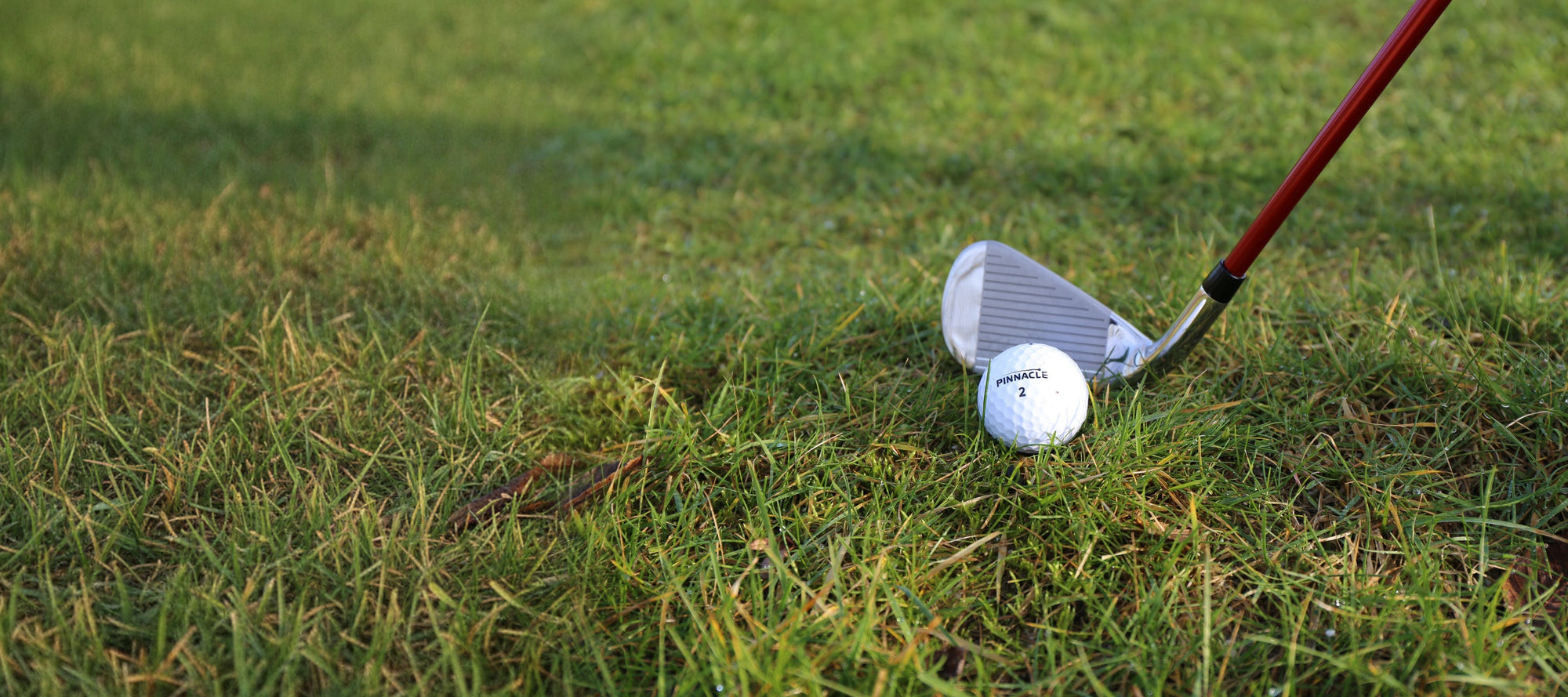 Golfclub en golfbal in het gras